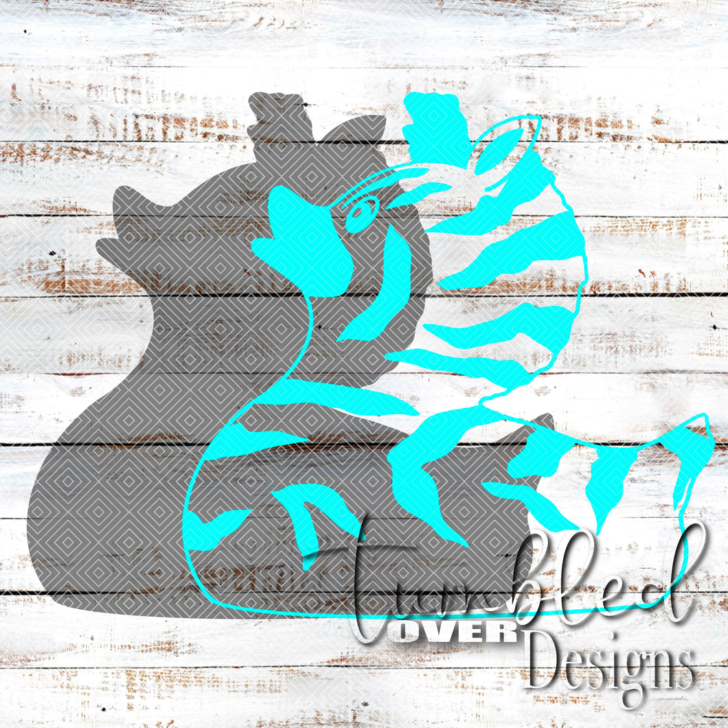 Zebra Duck Burst Single PNG